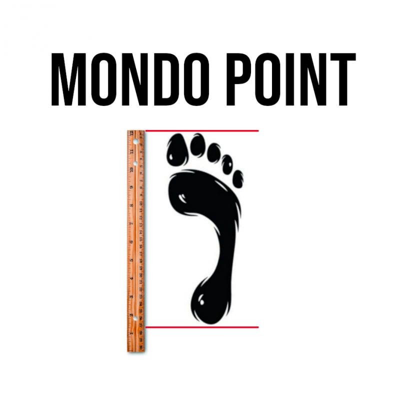 What is MondoPoint and how to measure it?